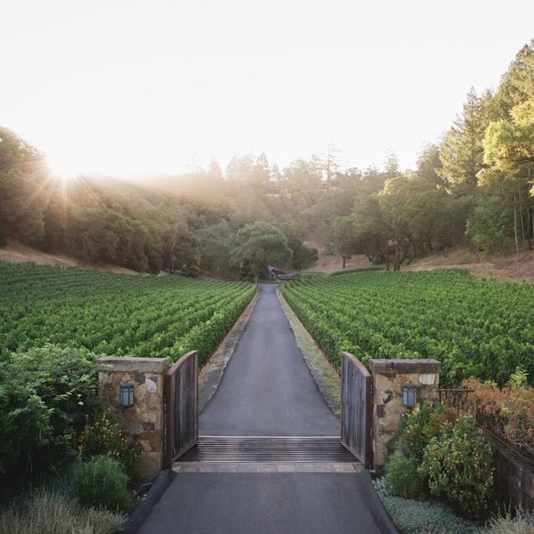 Amulet Estate