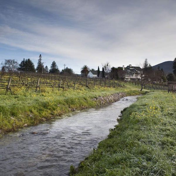 Arrow & Branch Winery