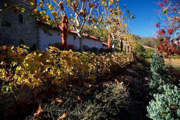 Beringer Vineyards