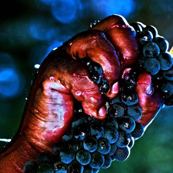 Brown Estate Vineyards