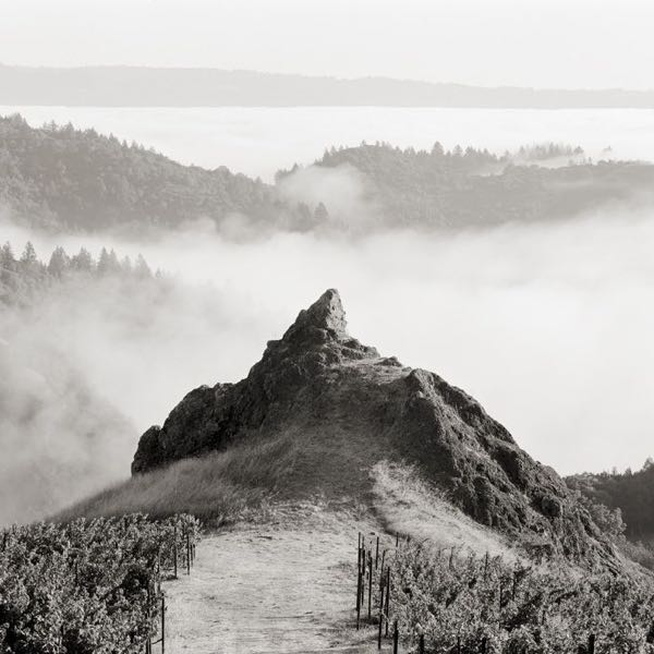Cain Vineyard & Winery
