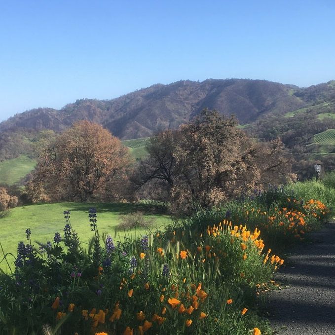 Cain Vineyard & Winery