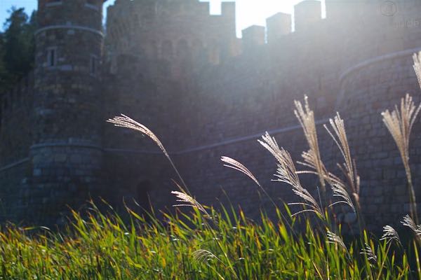 Castello di Amorosa