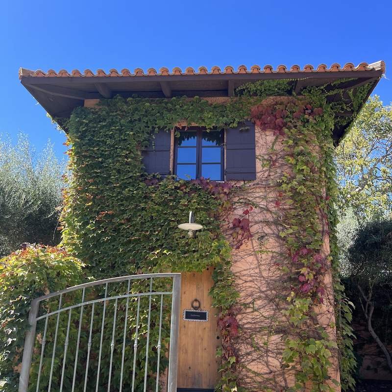 Celani Family Vineyards, Oak Knoll District, Napa Valley