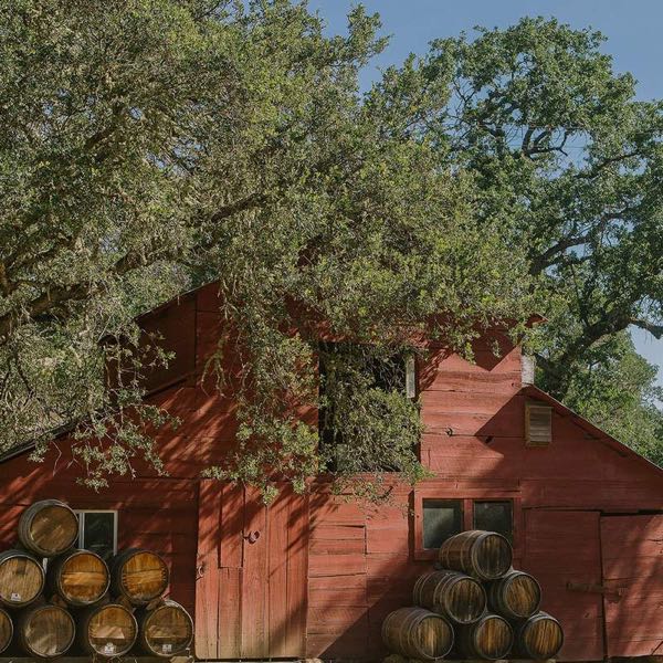 Clark-Claudon Vineyards