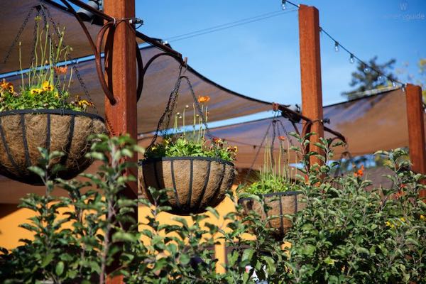 Clif Family Winery