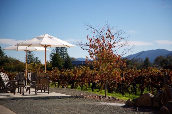 Corison Winery