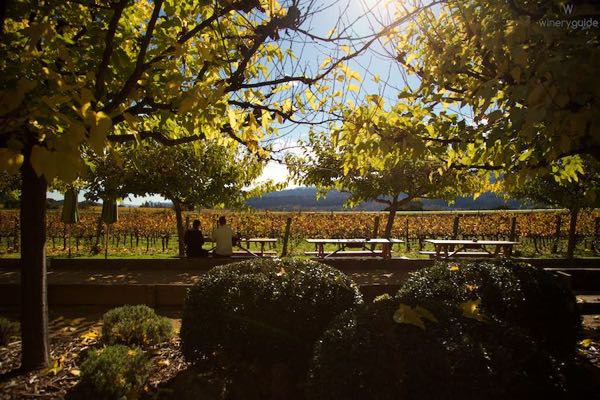 Dutch Henry Winery
