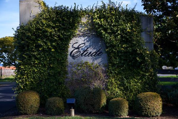 Etude