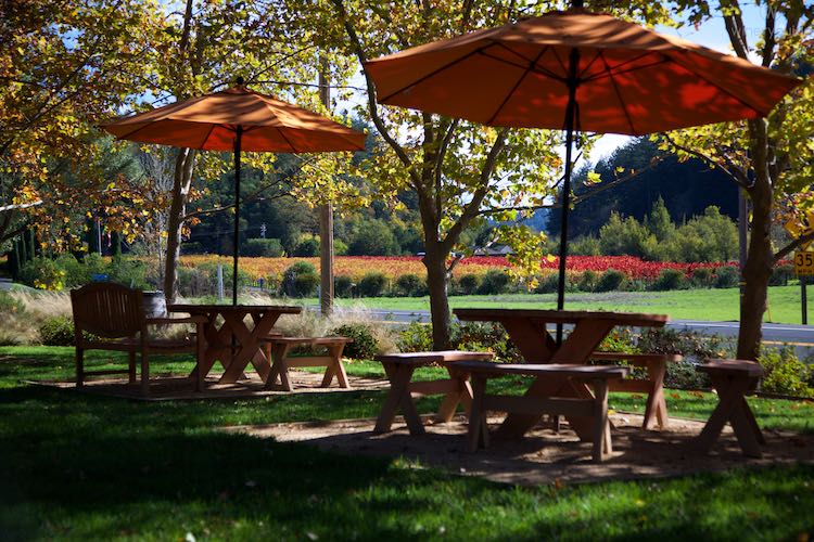 Fairwinds Estate, Calistoga, Napa Valley