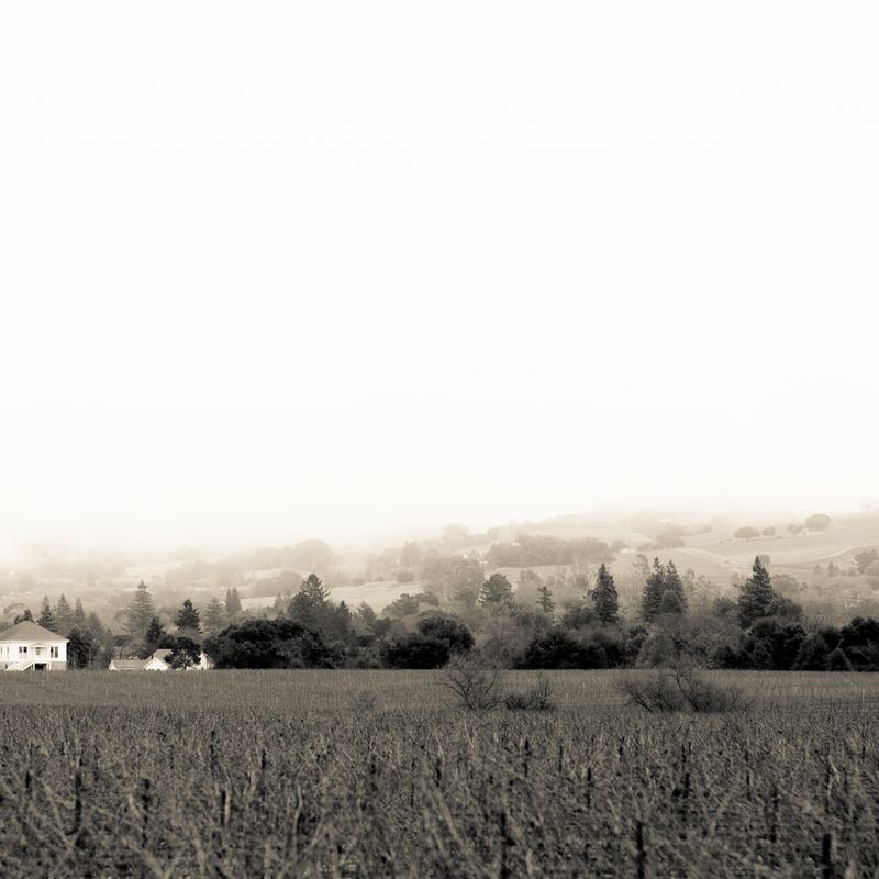 Favia Erickson Winegrowers, Coombsville, Napa Valley
