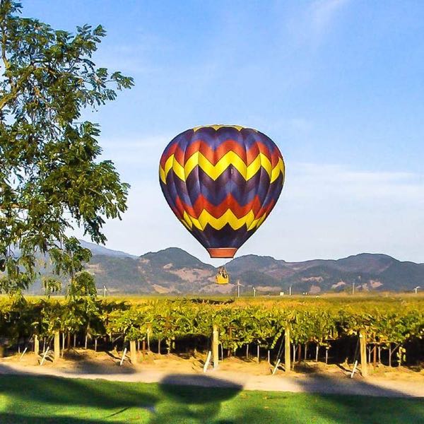 Fortunati Vineyards