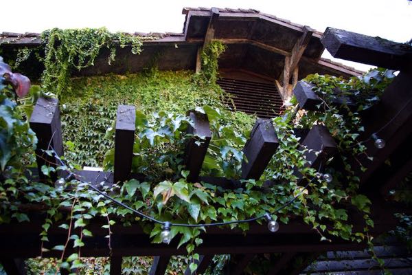 Grgich Hills Estate