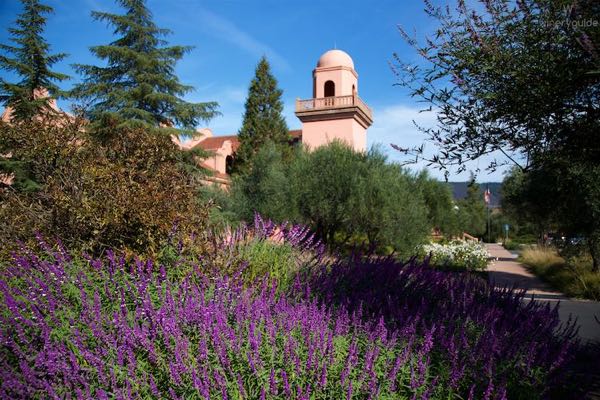 Groth Vineyards & Winery