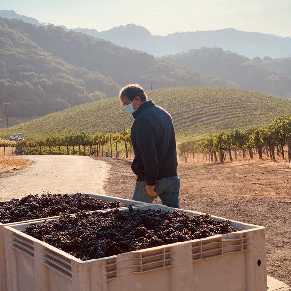 Gustavo Thrace Winery