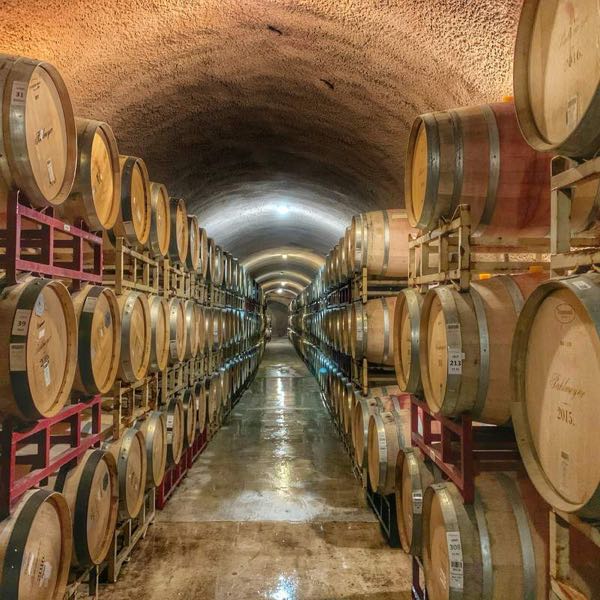 Harrison Vineyards