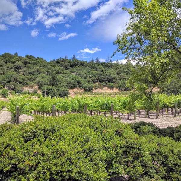 Harrison Vineyards