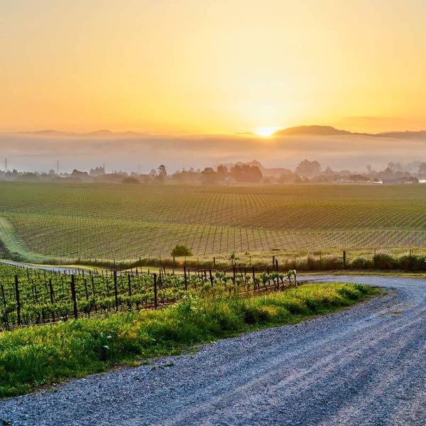 Havens Winery