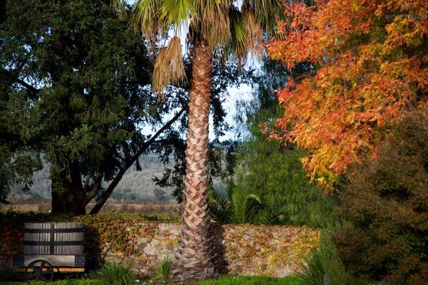 Heitz Wine Cellars