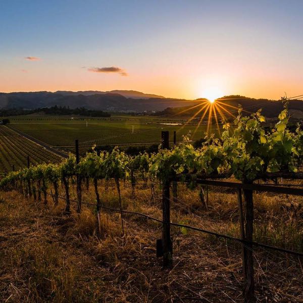 J. Moss Winery