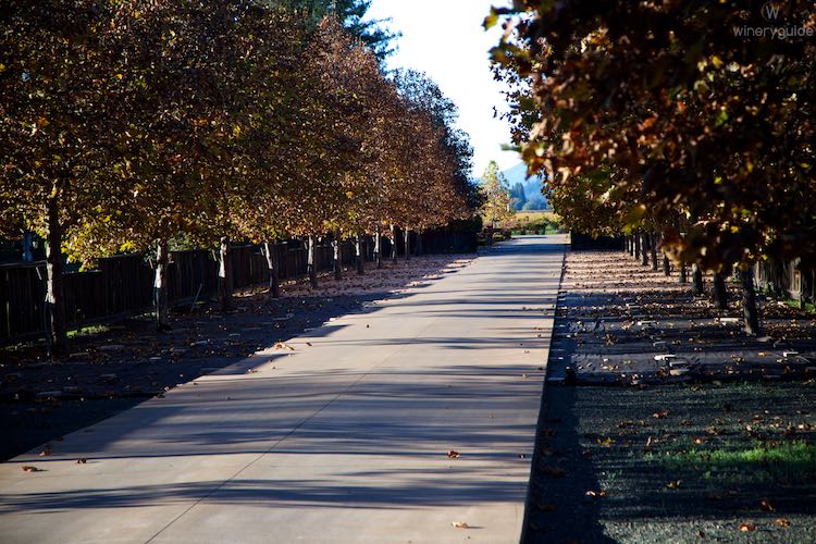 Kelham Vineyards & Winery, St. Helena, Napa Valley