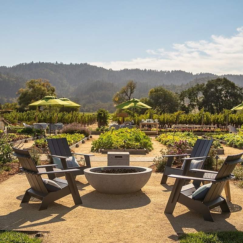 Kelleher Family Vineyards, Oak Knoll District, Napa Valley