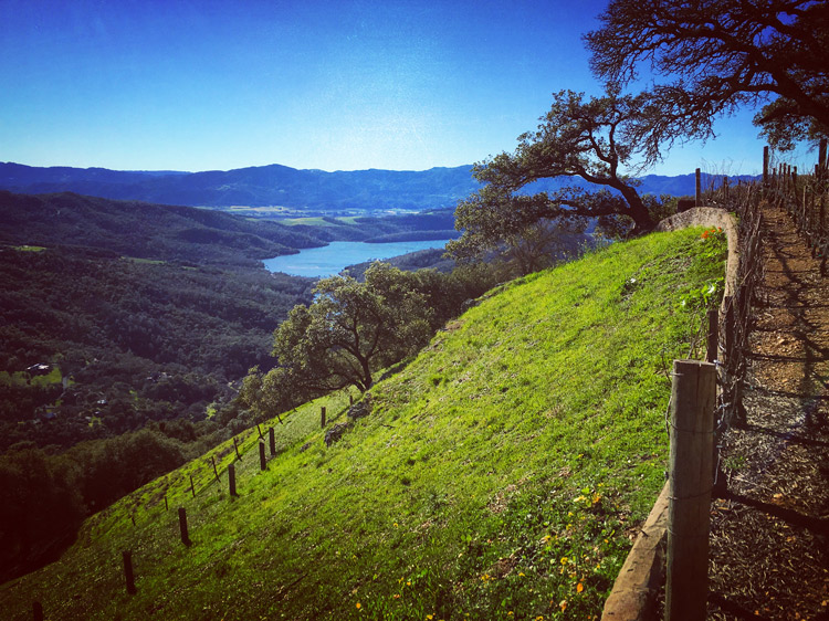 Kuleto Estate, St. Helena, Napa Valley