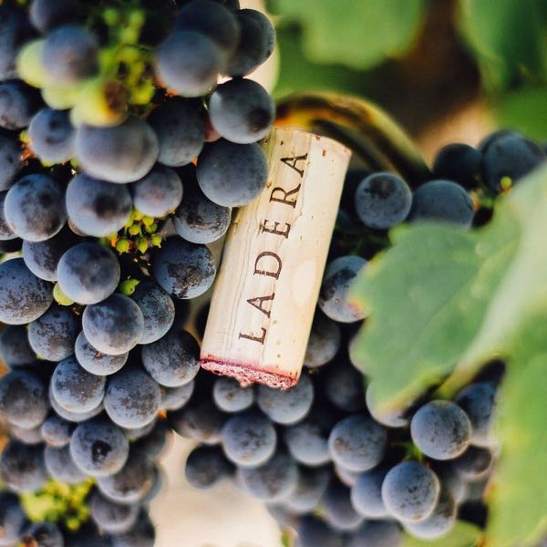 Ladera Vineyards