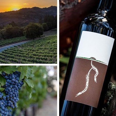 Lail Vineyards at Ma(i)sonry