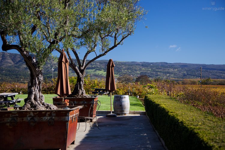 Peter Franus at Laird Family Estate, Oak Knoll District, Napa Valley