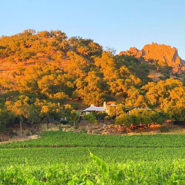 Malk Family Vineyards