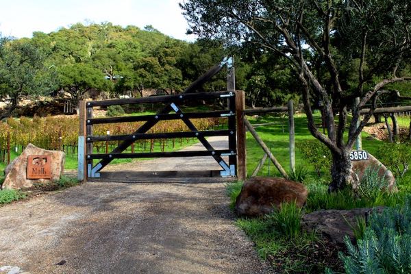 Malk Family Vineyards
