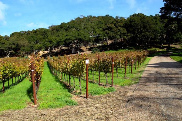 Malk Family Vineyards