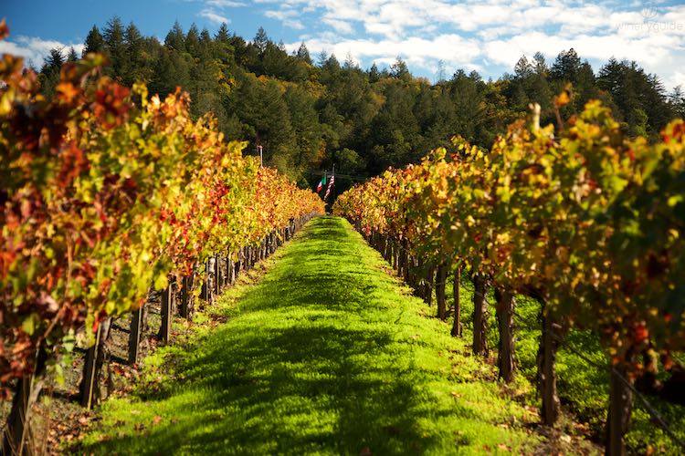 Paoletti Estates Winery, Calistoga, Napa Valley