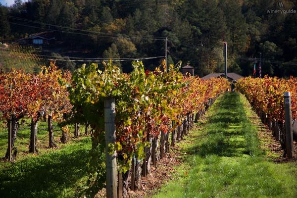 Paoletti Estates Winery