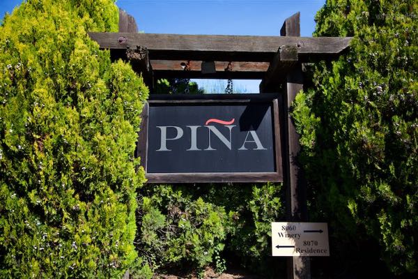 Pina