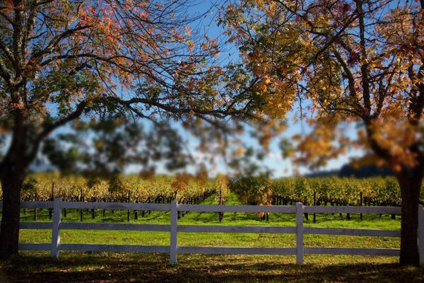 Napa Valley