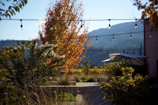 Provenance Vineyards