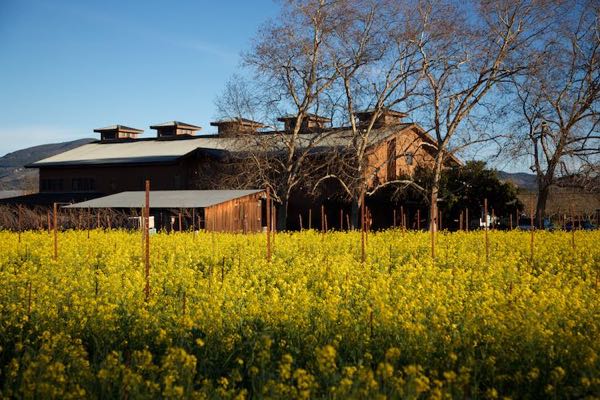 Robert Biale Vineyards