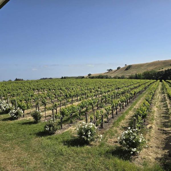 Ru Vango Winery