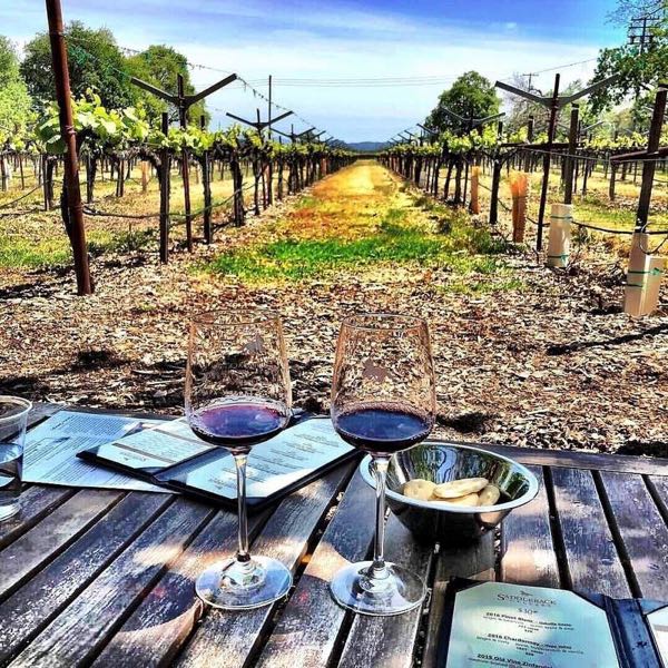 Saddleback Cellars