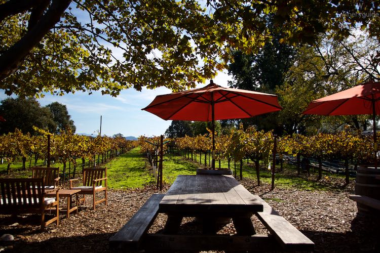 Saddleback Cellars, Oakville, Napa Valley