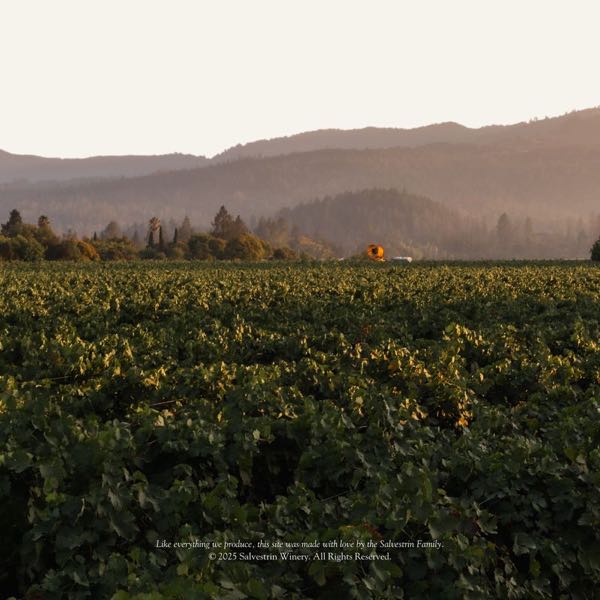 Salvestrin