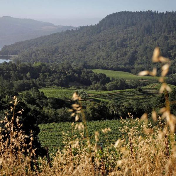 Seavey Vineyard