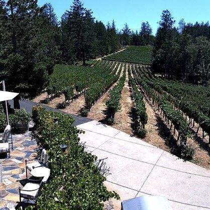 Sherwin Family Vineyards