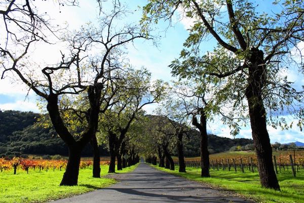 Stags' Leap Winery