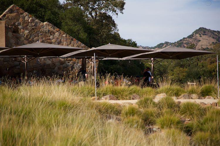 Stag's Leap Wine Cellars, Stags Leap District, Napa Valley