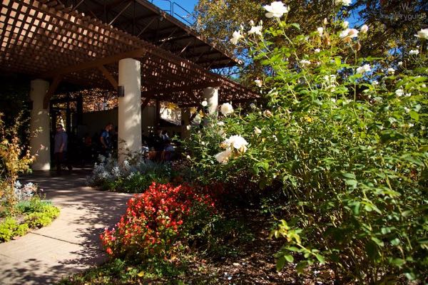 Sterling Vineyards