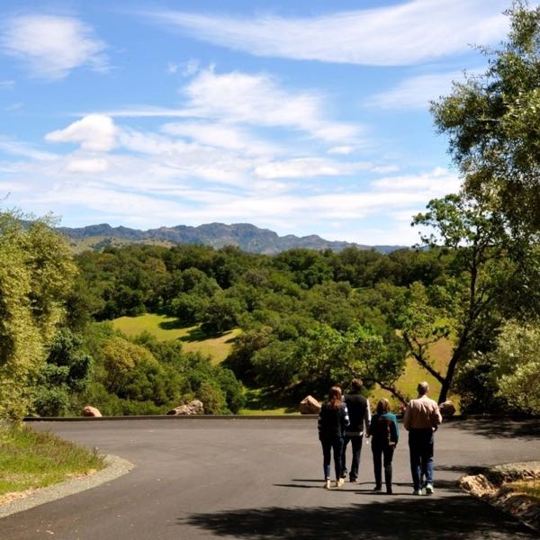 Tom Eddy Winery