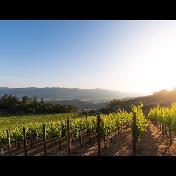 Viader Vineyards & Winery
